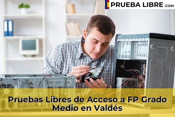Pruebas Libres de Acceso a FP Grado Medio en Alhaurín de la Torre 91 Pruebas Libres de Acceso a FP Grado Medio en Valdés