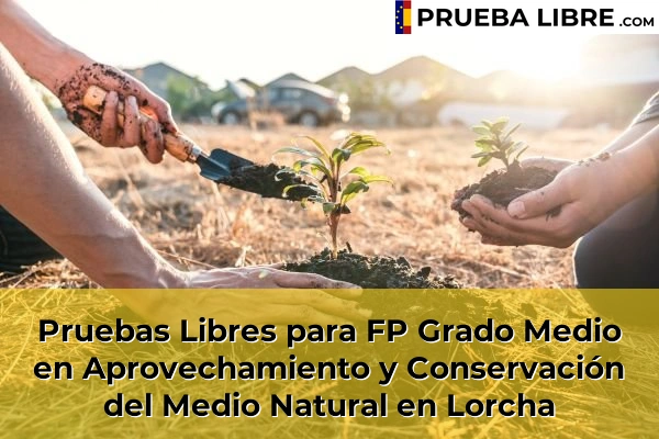 Pruebas Libres para FP Grado Medio en Aprovechamiento y Conservación del Medio Natural en Lorcha