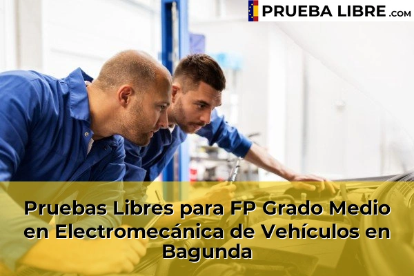 Pruebas Libres para FP Grado Medio en Electromecánica de Vehículos en Sello 66 Pruebas Libres para FP Grado Medio en Electromecánica de Vehículos en Bagunda