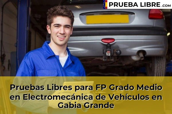 Pruebas Libres para FP Grado Medio en Electromecánica de Vehículos en Guadix 64 Pruebas Libres para FP Grado Medio en Electromecánica de Vehículos en Gabia Grande
