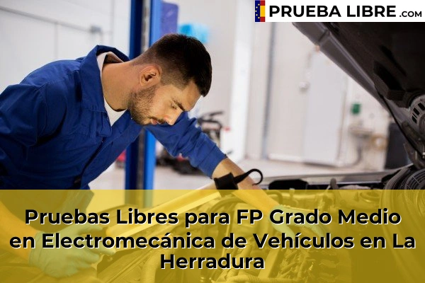 Pruebas Libres para FP Grado Medio en Electromecánica de Vehículos en Guadix 71 Pruebas Libres para FP Grado Medio en Electromecánica de Vehículos en La Herradura