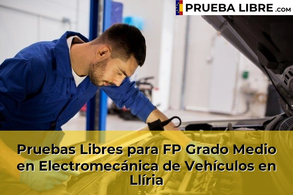 Pruebas Libres para FP Grado Medio en Electromecánica de Vehículos en Xirivella 155 Pruebas Libres para FP Grado Medio en Electromecánica de Vehículos en Llíria