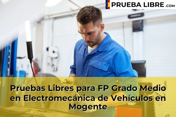 Pruebas Libres para FP Grado Medio en Electromecánica de Vehículos en Xirivella 169 Pruebas Libres para FP Grado Medio en Electromecánica de Vehículos en Mogente
