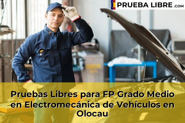 Pruebas Libres para FP Grado Medio en Electromecánica de Vehículos en Xirivella 179 Pruebas Libres para FP Grado Medio en Electromecánica de Vehículos en Olocau