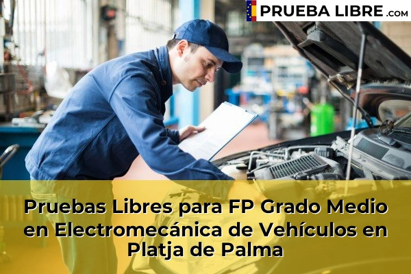 Pruebas Libres para FP Grado Medio en Electromecánica de Vehículos en Muro 71 Pruebas Libres para FP Grado Medio en Electromecánica de Vehículos en Platja de Palma