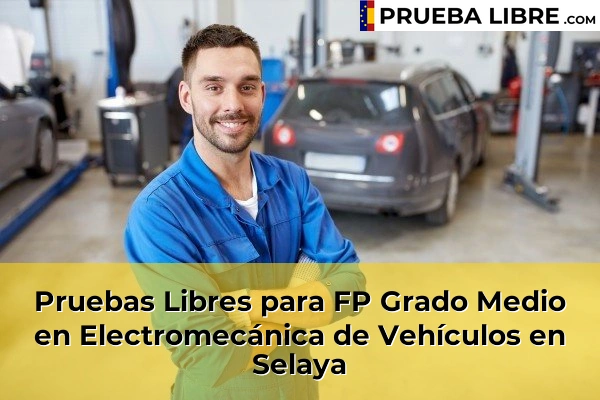 Pruebas Libres para FP Grado Medio en Electromecánica de Vehículos en Selaya