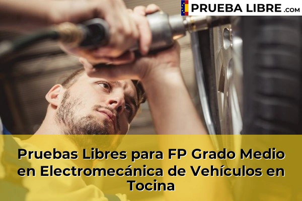 Pruebas Libres para FP Grado Medio en Electromecánica de Vehículos en Dos Hermanas 95 Pruebas Libres para FP Grado Medio en Electromecánica de Vehículos en Tocina