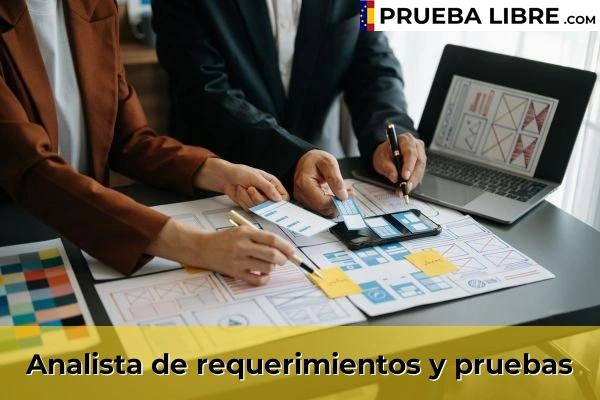 Empleo FP Grado Superior en Desarrollo de Aplicaciones Multiplataforma 2 Analista de requerimientos y pruebas