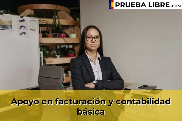 Apoyo en facturación y contabilidad básica