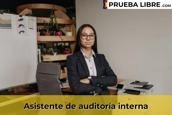 Empleo FP Grado Superior en Administración y Finanzas 3 Asistente de auditoría interna