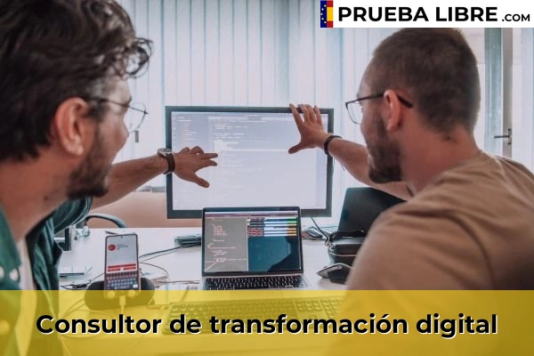 Empleo FP Grado Superior en Desarrollo de Aplicaciones Web 4 Consultor de transformación digital