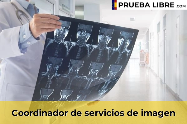 Empleo FP Grado Superior en Imagen para el Diagnóstico y Medicina Nuclear 3 Coordinador de servicios de imagen